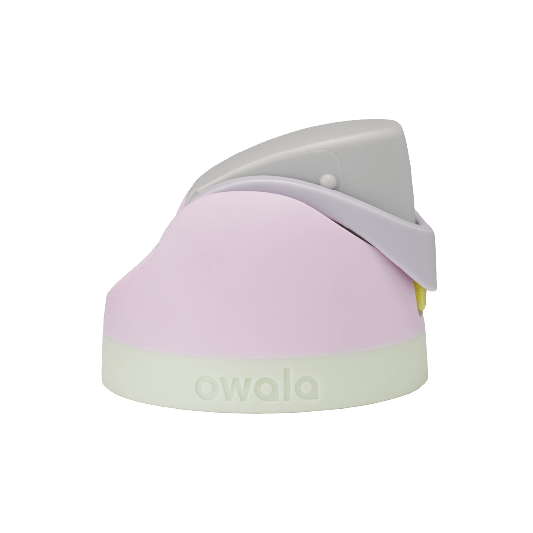 Replacement Lids Z2