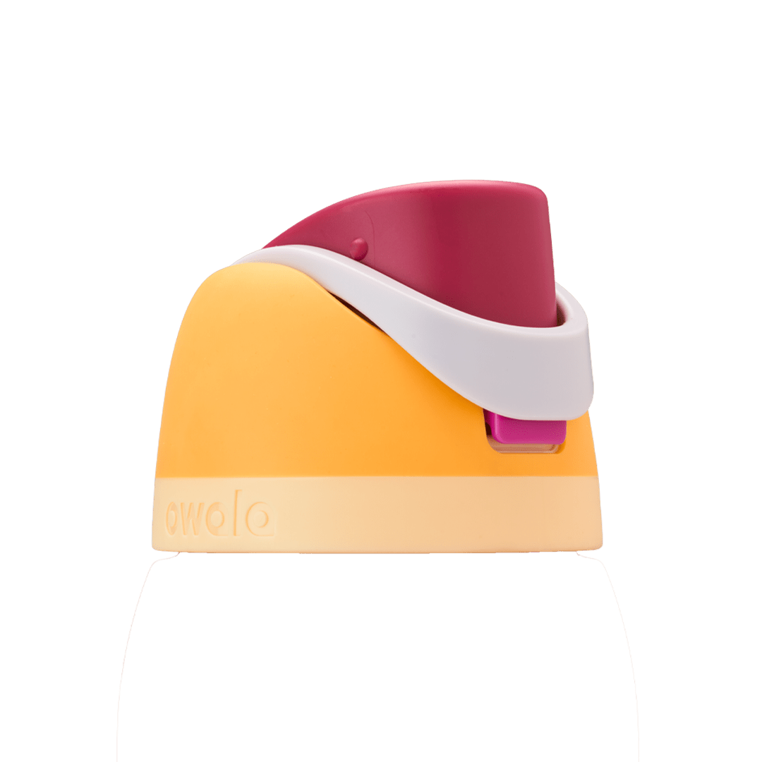 Replacement Lids Z2