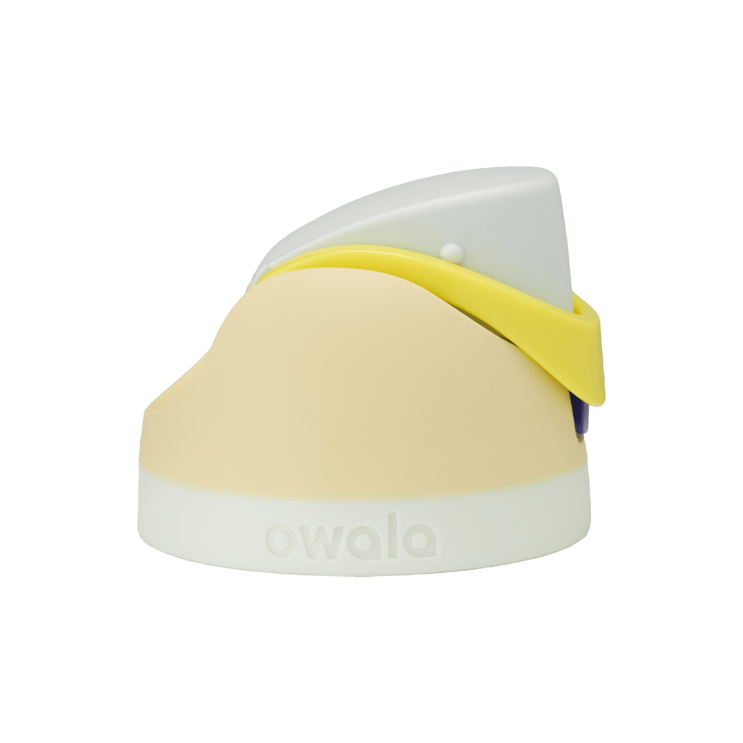 Replacement Lids Z2