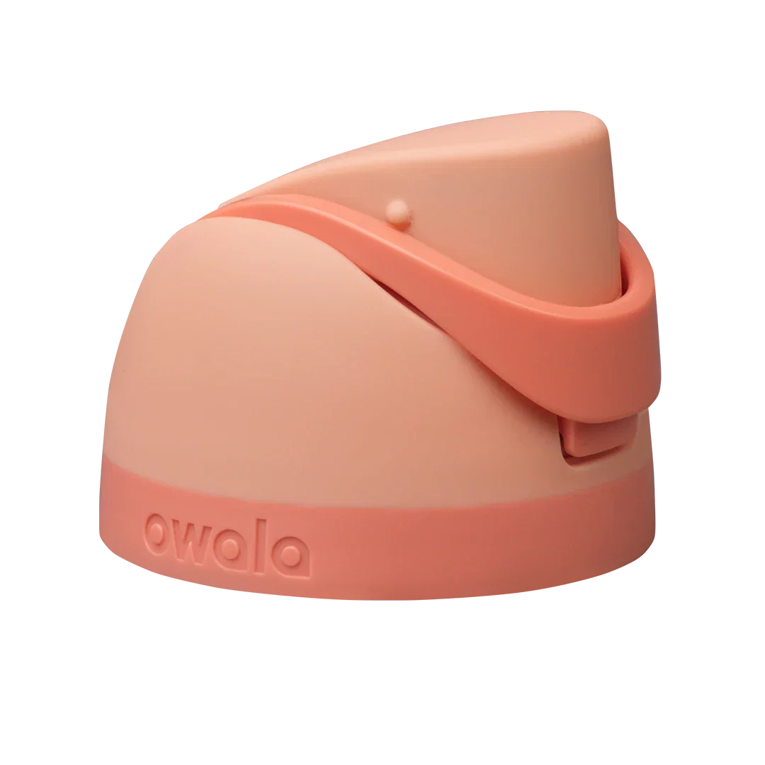 Replacement Lids Z2