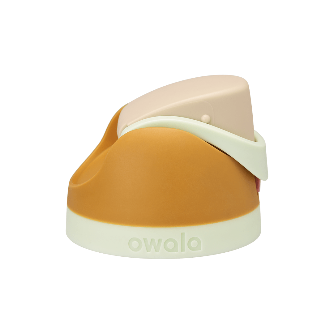 Replacement Lids Z2