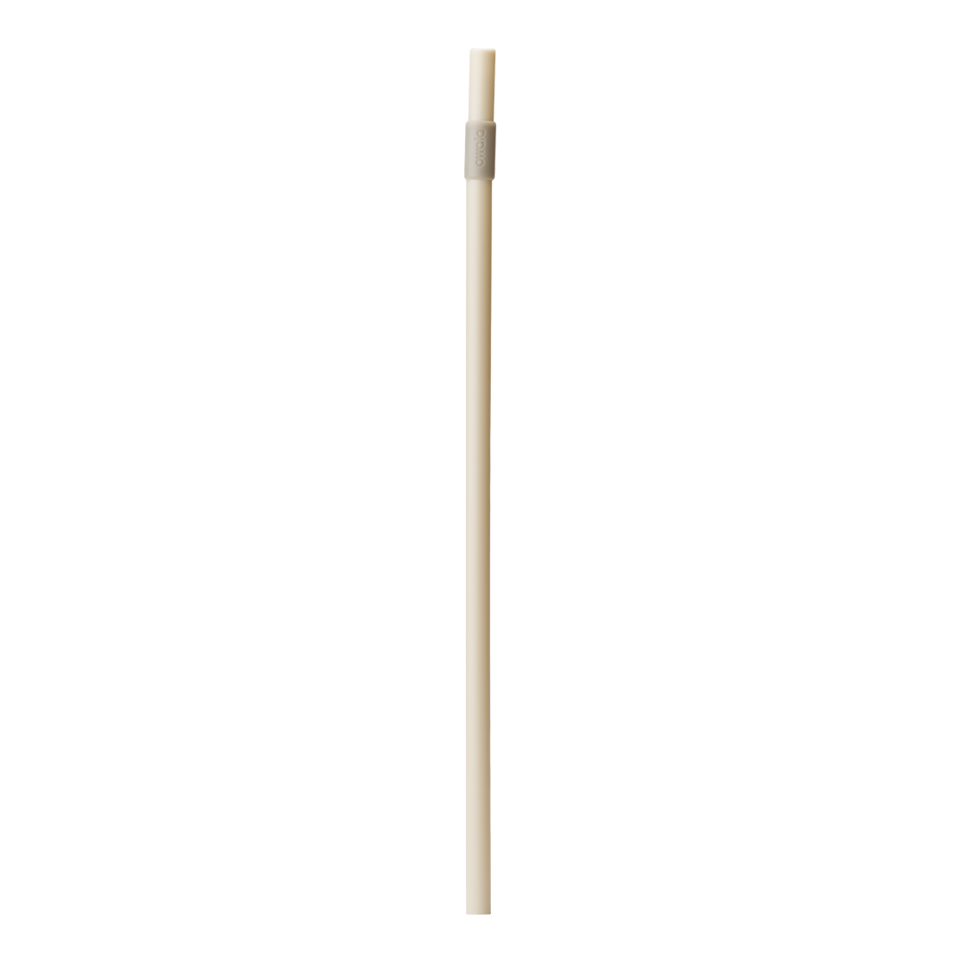 Replacement Straws I4