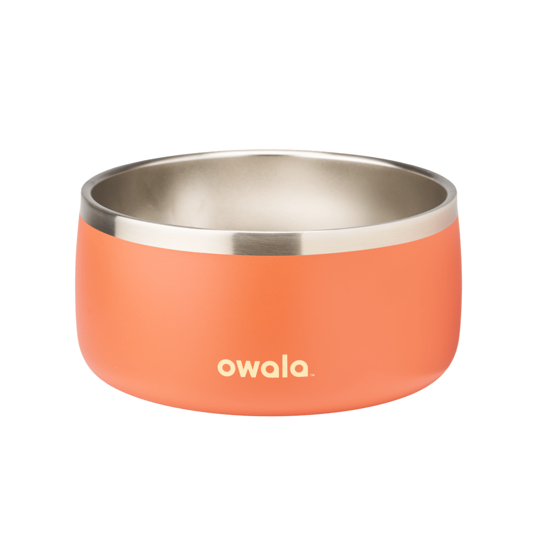Pet Bowl T3