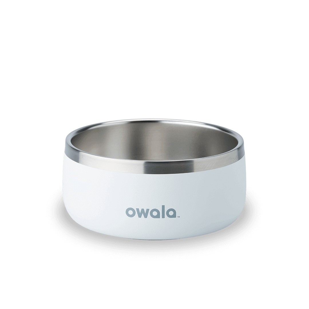 Pet Bowl T3