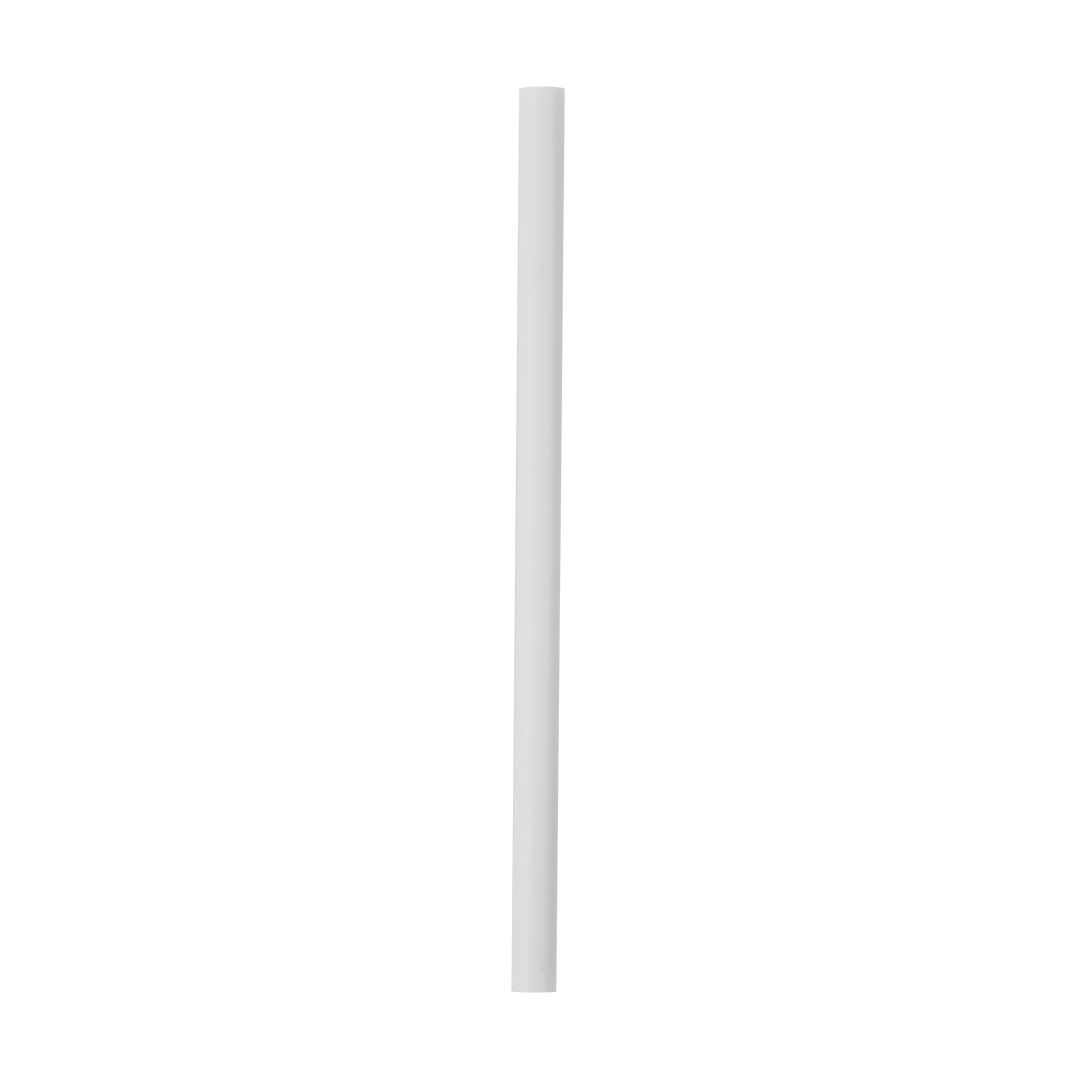 Replacement Straws N0